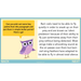 PlanBee The Owl who was Afraid of the Dark | KS2 Non-chronological Reports