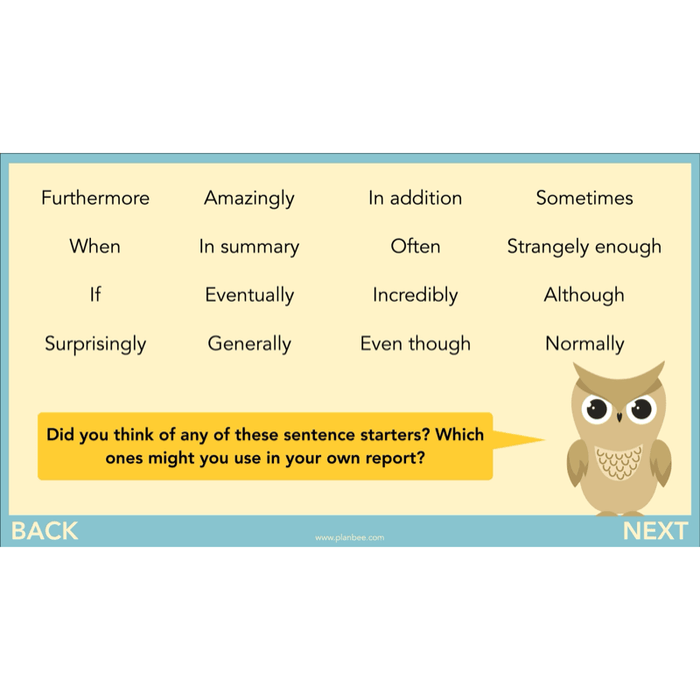 PlanBee The Owl who was Afraid of the Dark | KS2 Non-chronological Reports