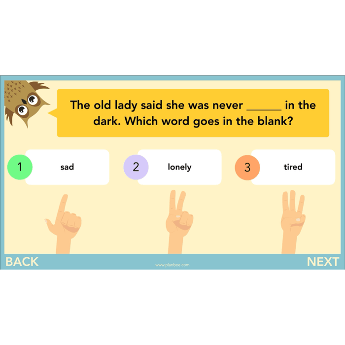 PlanBee The Owl who was Afraid of the Dark | KS2 Comprehension