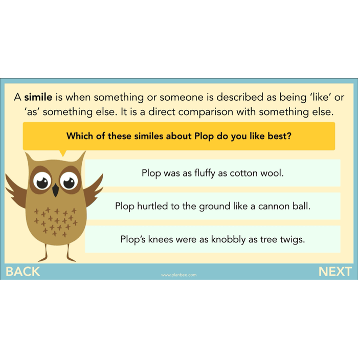 The Owl who was Afraid of the Dark: Reading Comprehension