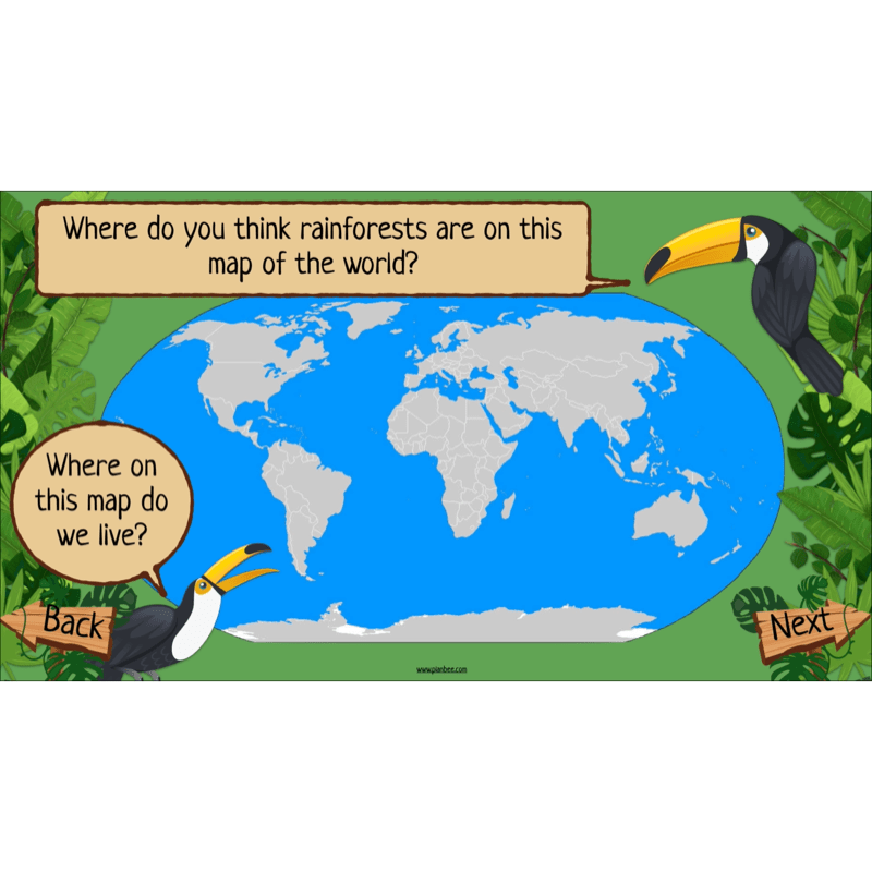PlanBee The Rainforest Biome KS2 | Geography Lesson Pack