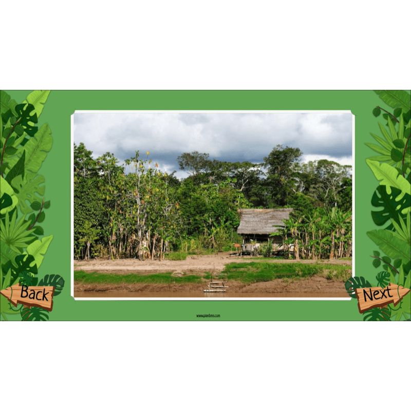 PlanBee The Rainforest Biome KS2 | Geography Lesson Pack