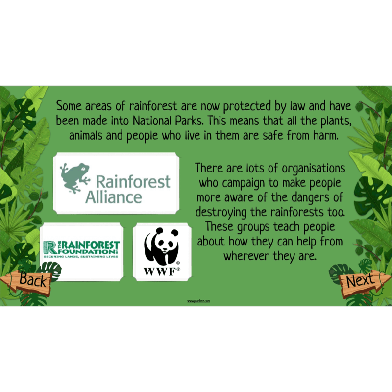 The Rainforest Biome