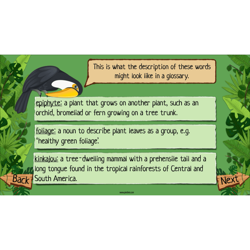 The Rainforest Topic Enrichment Pack
