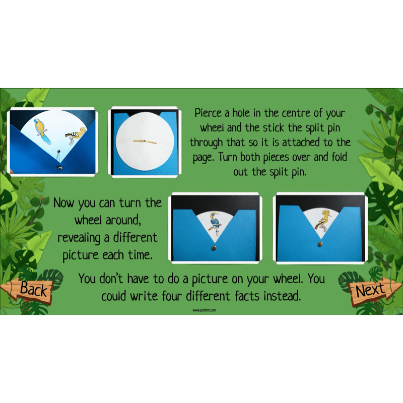 The Rainforest Topic Enrichment Pack