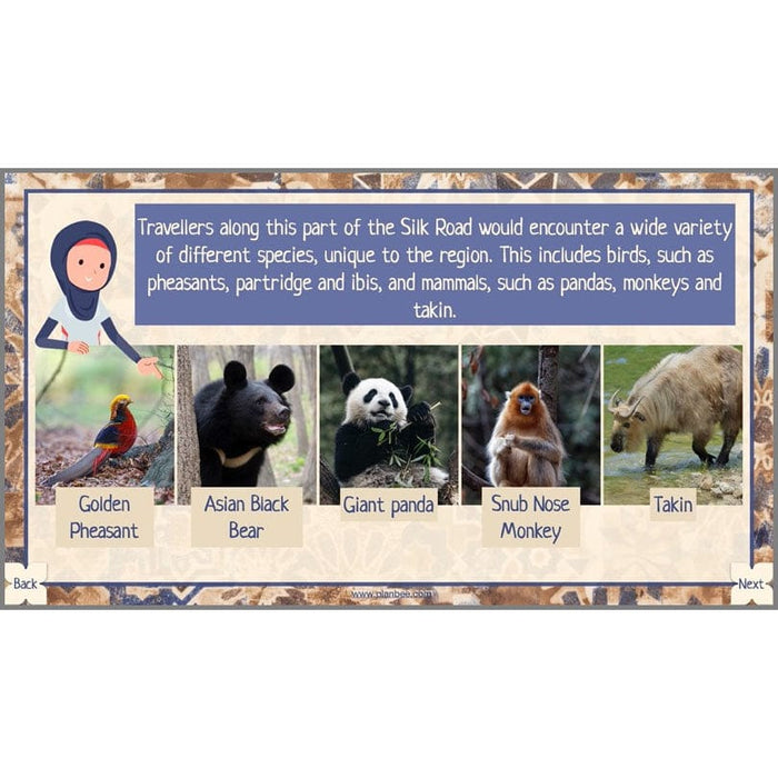 PlanBee The Silk Road KS2 Geography lessons | PlanBee