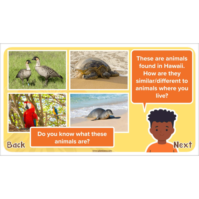 PlanBee Volcanoes KS2 Geography Lesson Planning