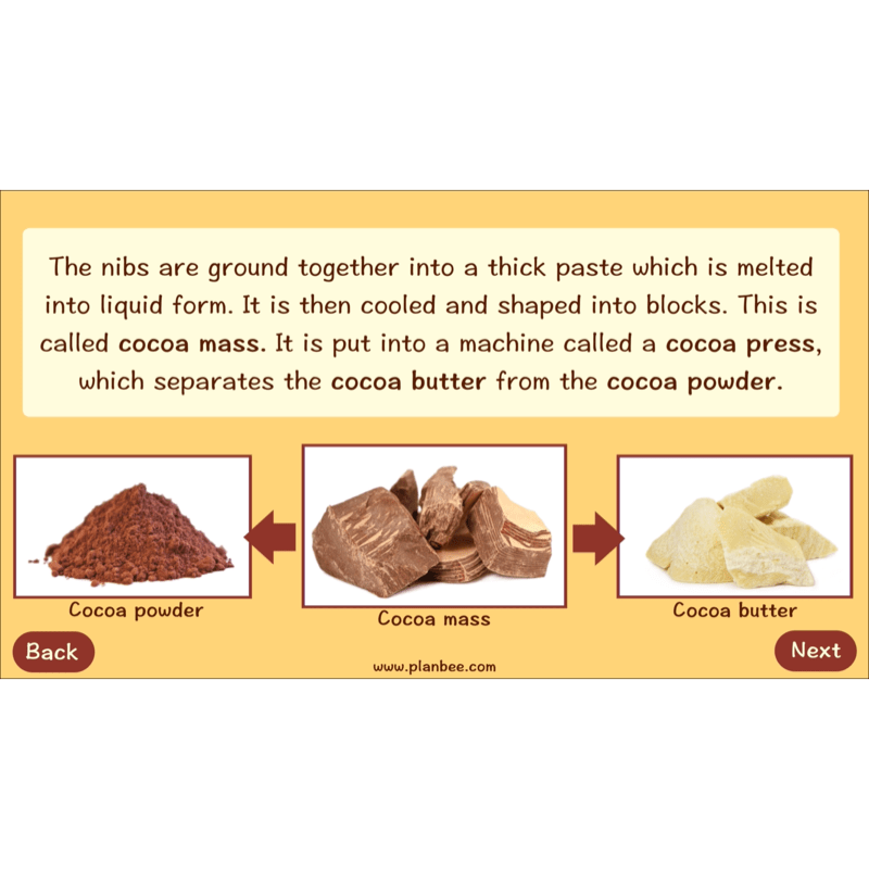 PlanBee Where does Chocolate come from? | KS2 Geography lessons