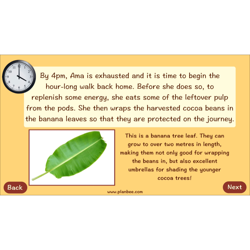 PlanBee Where does Chocolate come from? | KS2 Geography lessons