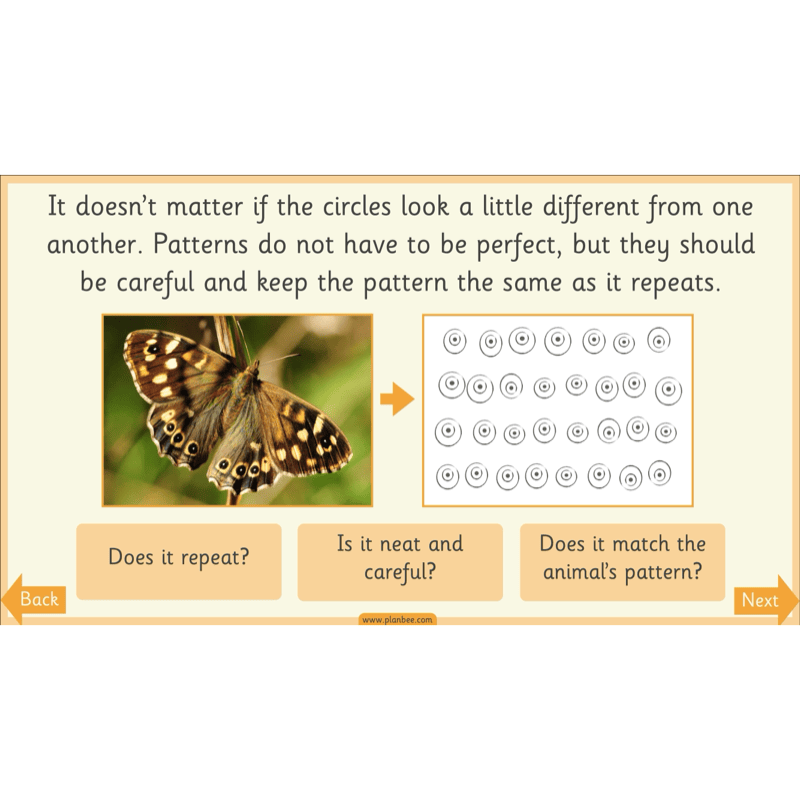 PlanBee Animal Art KS1 | Art Lesson Pack