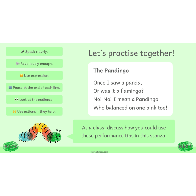 PlanBee Animal Poetry KS1 English Lesson Pack