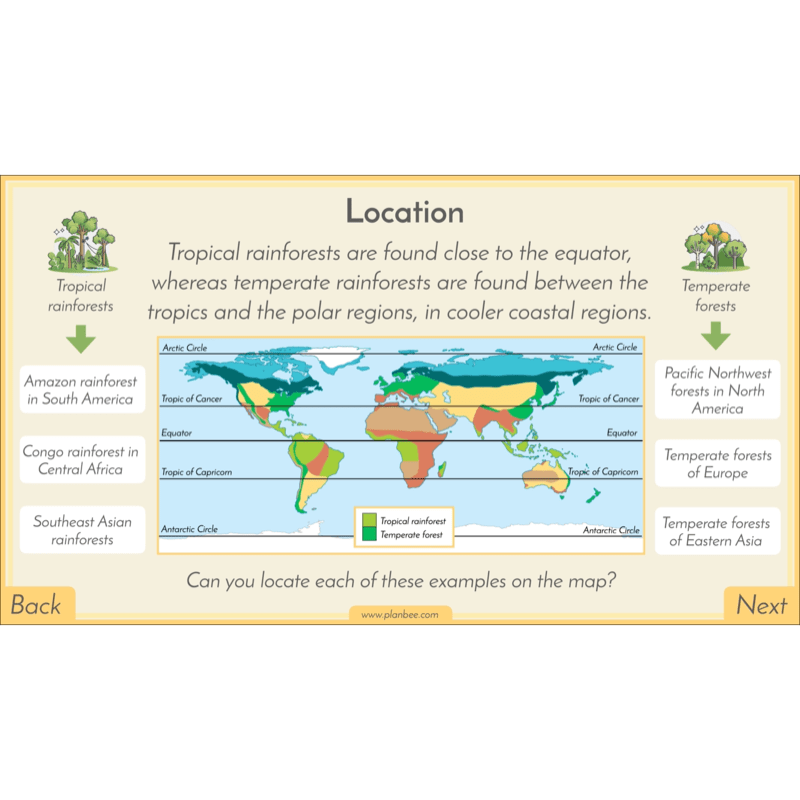PlanBee Biomes KS2 Geography Lessons