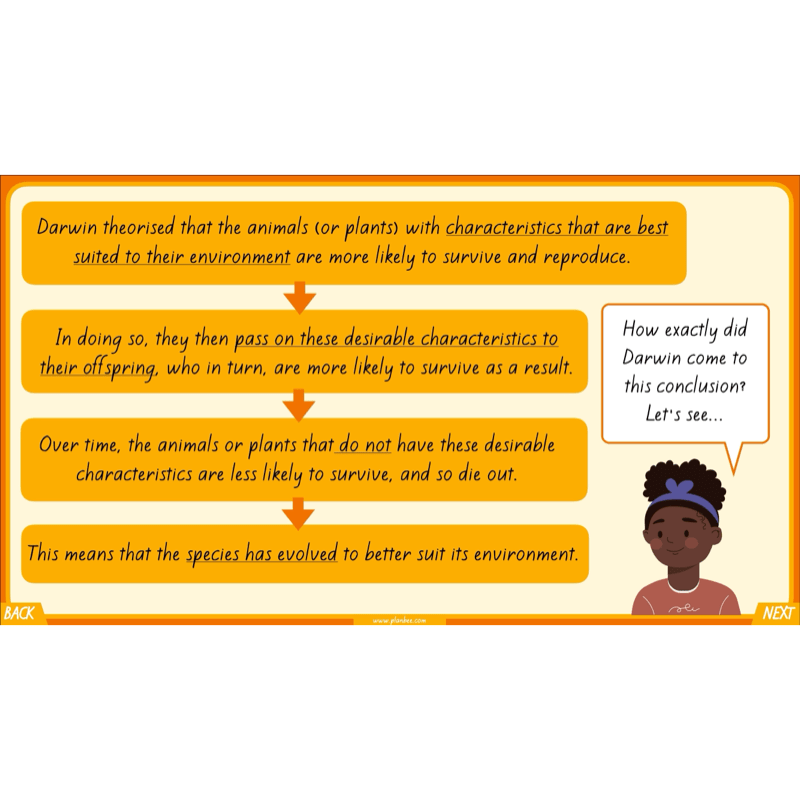 PlanBee Charles Darwin KS2 Lesson Pack