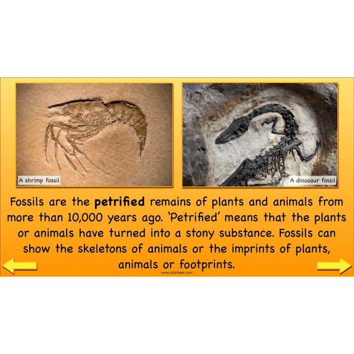 PlanBee Dinosaurs Topic KS2 Enrichment Lesson Pack