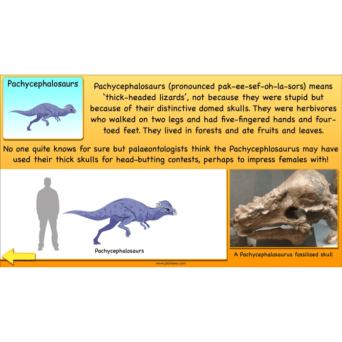 PlanBee Dinosaurs Topic KS2 Enrichment Lesson Pack