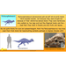 PlanBee Dinosaurs Topic KS2 Enrichment Lesson Pack