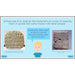 PlanBee Early Civilisations KS2 History lessons | PlanBee