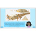 PlanBee Early Civilisations KS2 History lessons | PlanBee