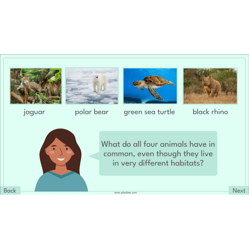 Endangered Animals