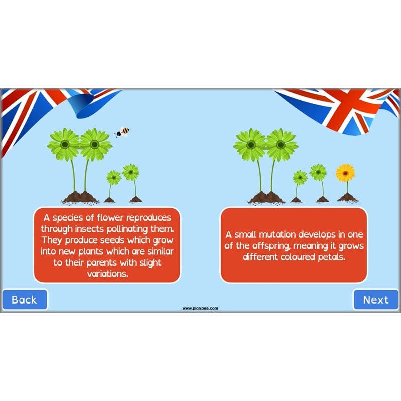 PlanBee Great British Scientists KS2 Science Lessons by PlanBee