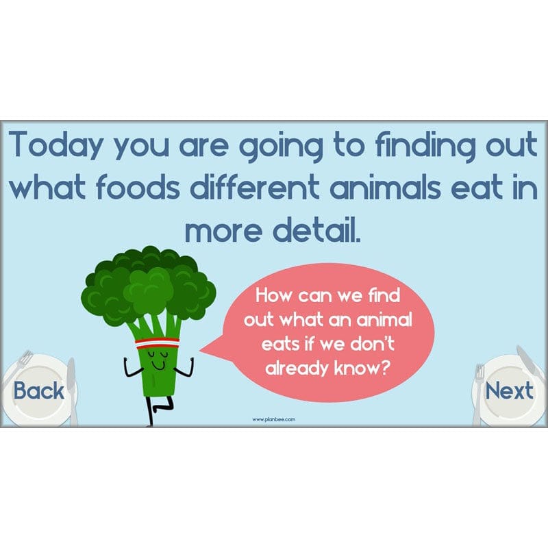 PlanBee Animals Including Humans Year 3 Science Lessons by PlanBee