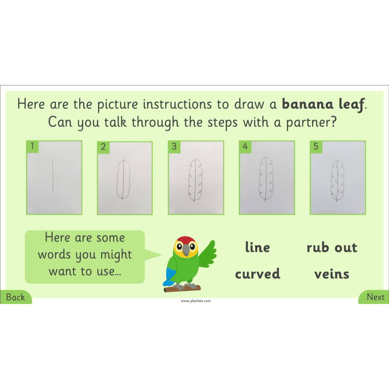 PlanBee Henri Rousseau KS1 Art Lessons