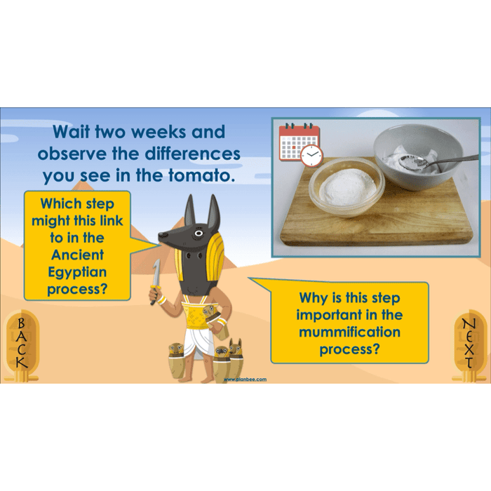 PlanBee Explanation Texts: How to Mummify a Tomato | KS2 English