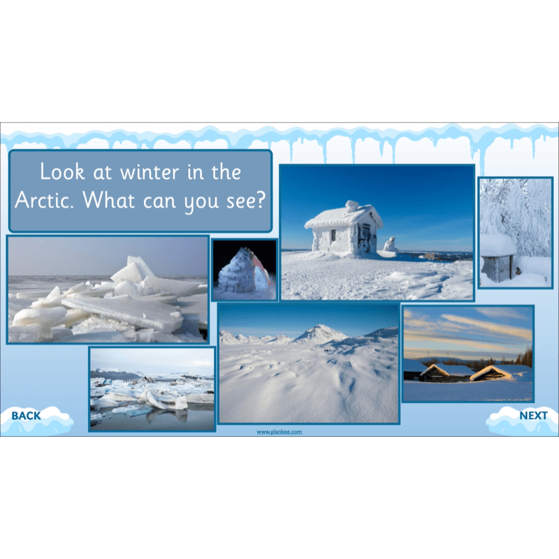PlanBee Let's go to the Arctic KS1 Geography Lessons and Resources