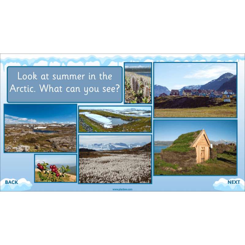 PlanBee Let's go to the Arctic KS1 Geography Lessons and Resources