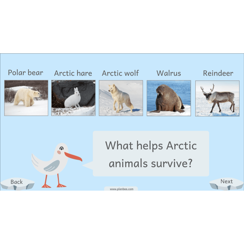 PlanBee Let's go to the Arctic KS1 Geography Lesson Pack