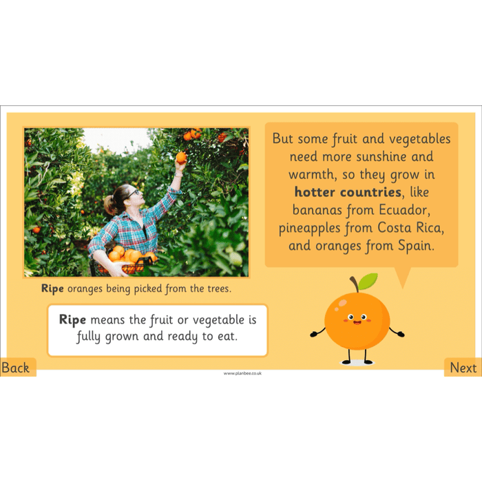 PlanBee Making Healthy Snacks | KS1 DT Lesson Pack