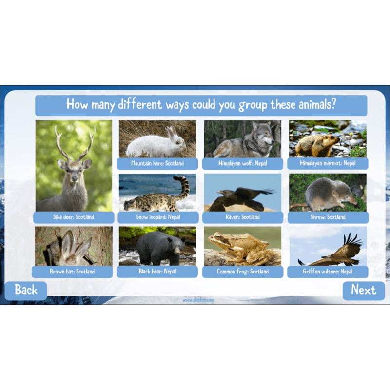 PlanBee Mountain Science KS2 | Food Chains, Adaptation & Life Cycles