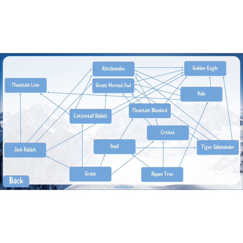 PlanBee Mountain Science KS2 | Food Chains, Adaptation & Life Cycles