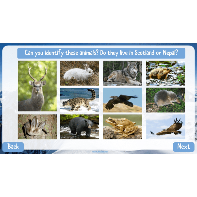 PlanBee Mountain Science KS2 | Food Chains, Adaptation & Life Cycles