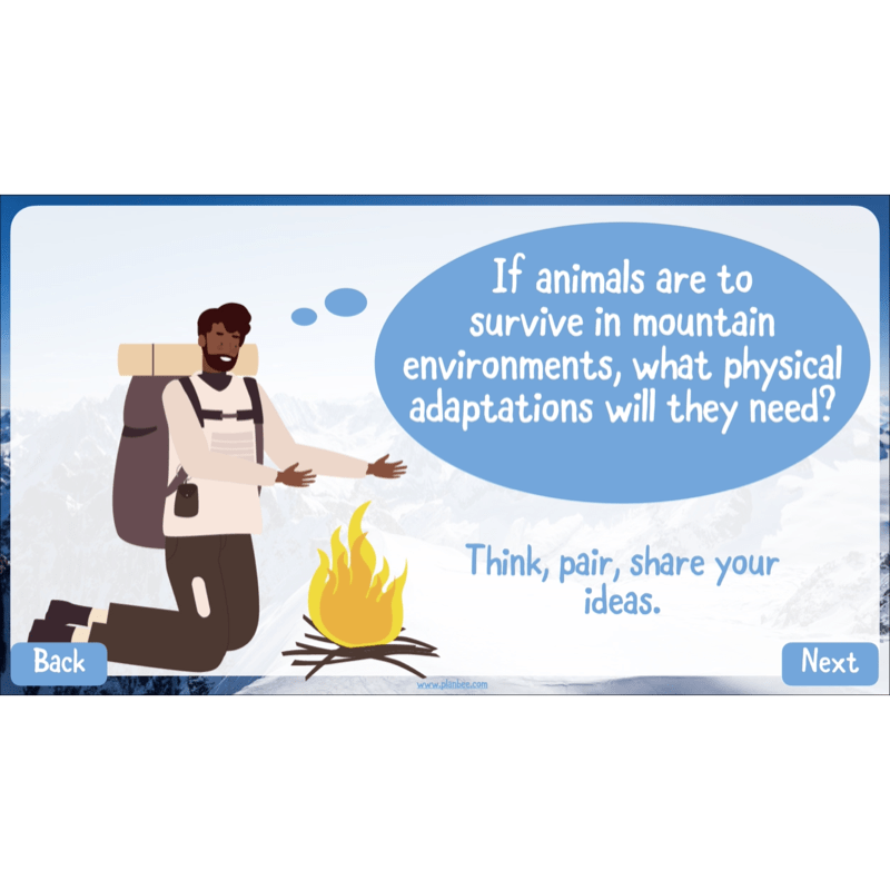 PlanBee Mountain Science KS2 | Food Chains, Adaptation & Life Cycles