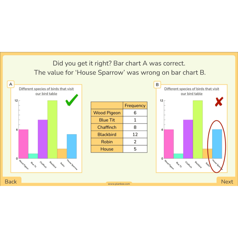 PlanBee Year 3 Statistics Organising Data PlanBee Maths Lesson