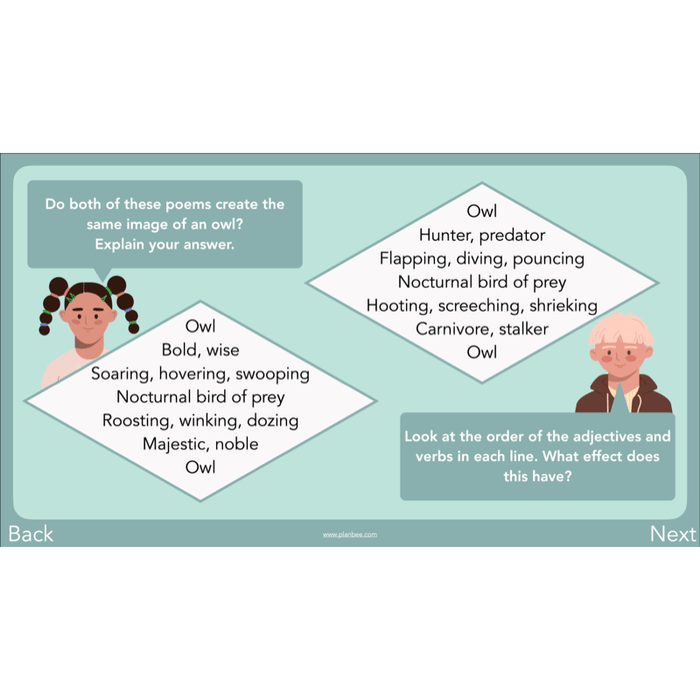 PlanBee Year 3 Patterns in Poetry | Investigating Types of Poems