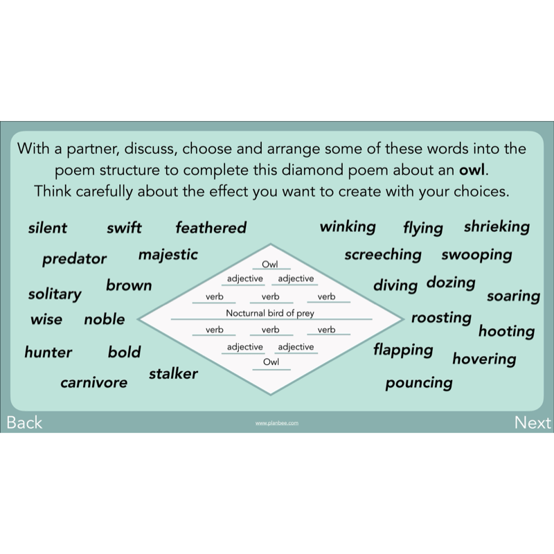 PlanBee Year 3 Patterns in Poetry | Investigating Types of Poems