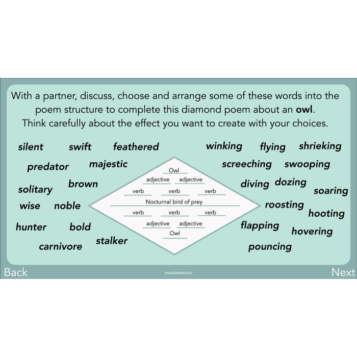PlanBee Year 3 Patterns in Poetry | Investigating Types of Poems