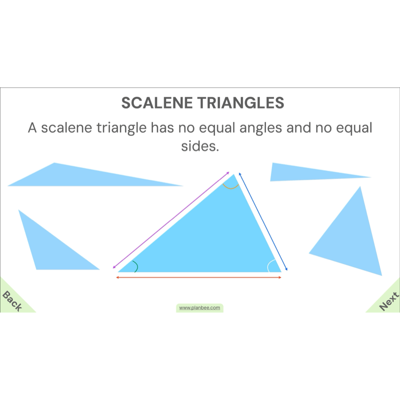 PlanBee Year 4 Properties of 2D Shapes KS2 Maths by PlanBee