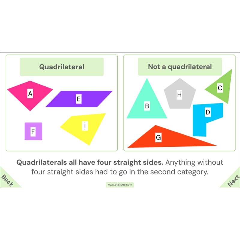 PlanBee Year 4 Properties of 2D Shapes KS2 Maths by PlanBee