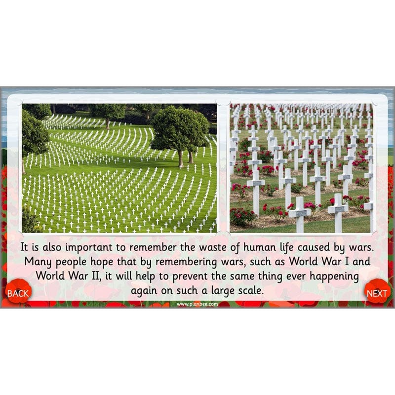 PlanBee KS1 Remembrance Day Lesson | Year 2 History Planning