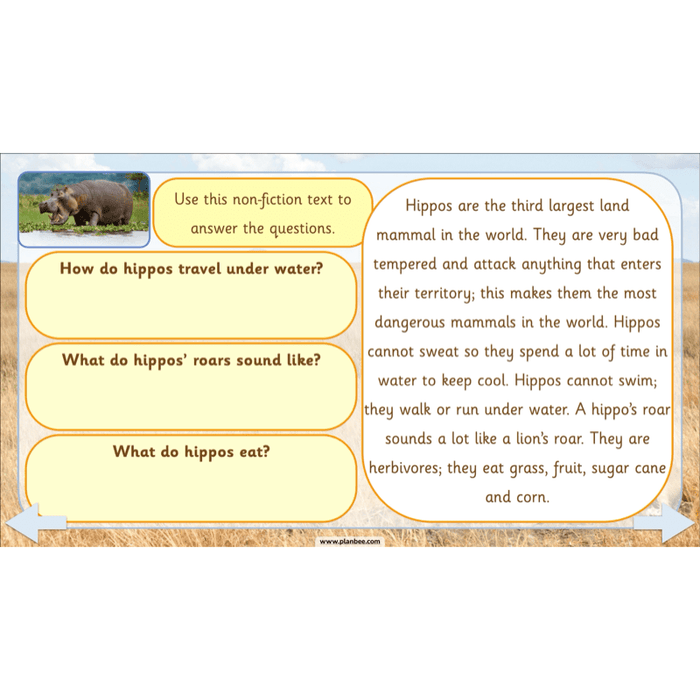 PlanBee Safari Adventures KS1 | English Lesson Pack