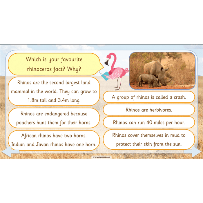 PlanBee Safari Adventures KS1 | English Lesson Pack