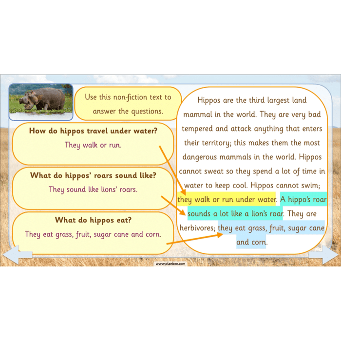 PlanBee Safari Adventures KS1 | English Lesson Pack