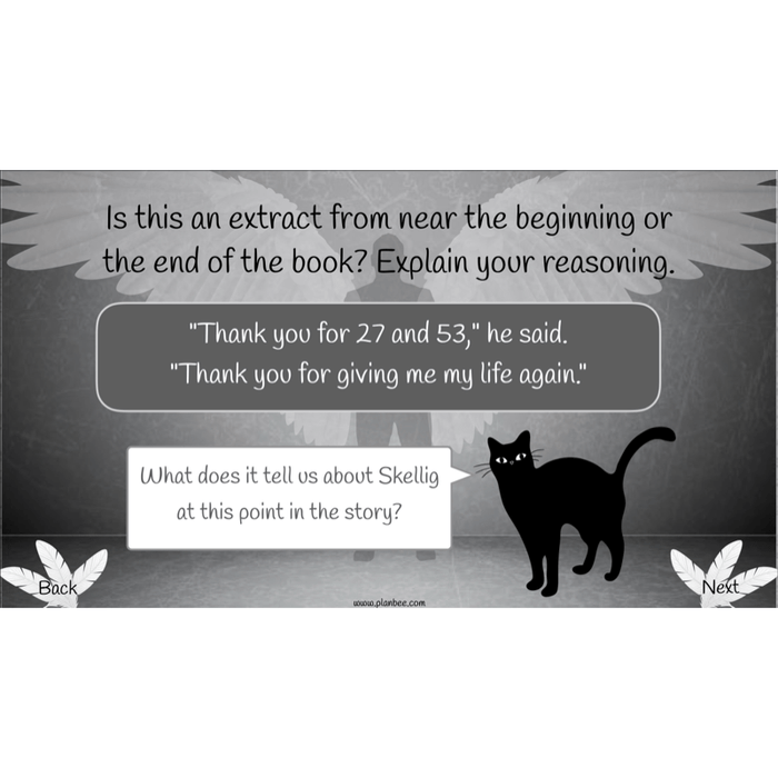 PlanBee Skellig Diary Entries KS2 | Year 6 English Lesson Pack