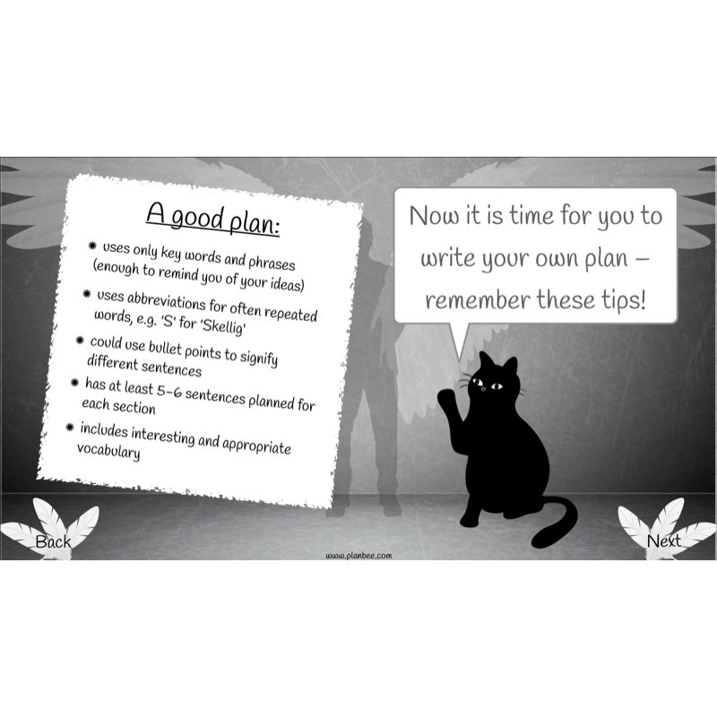 PlanBee Skellig: Narrative