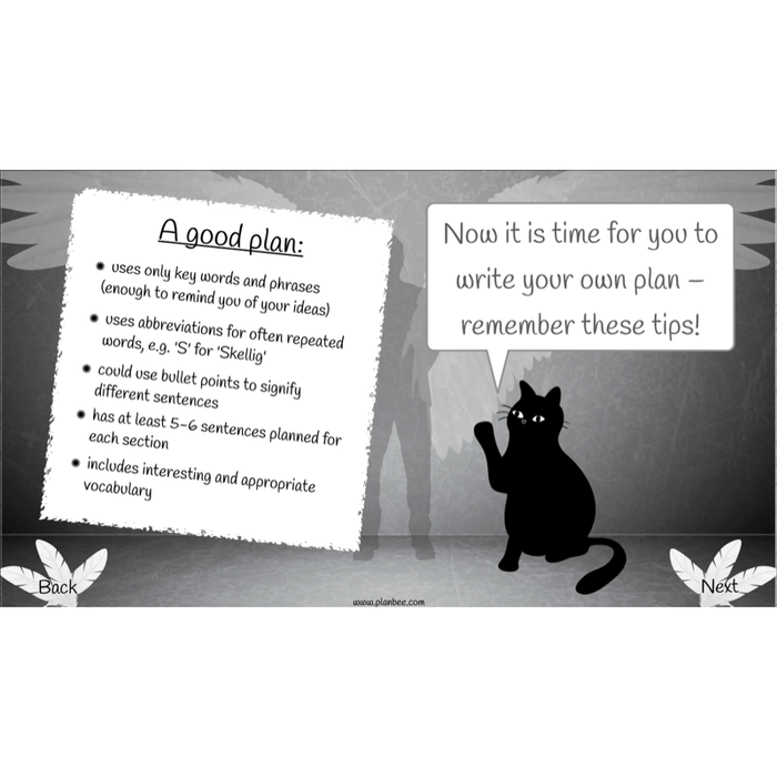 PlanBee Skellig: Narrative