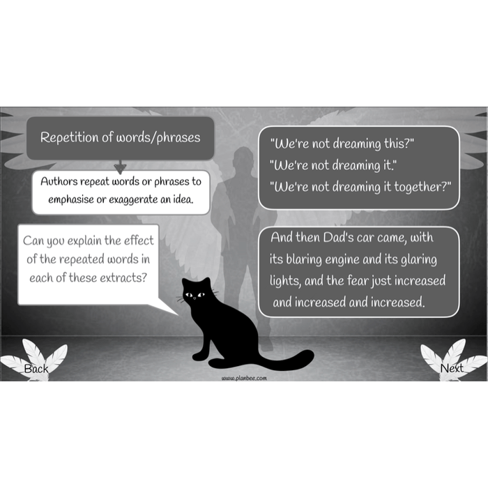 PlanBee Skellig: Narrative