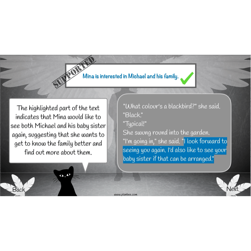 PlanBee Skellig: Reading Comprehension